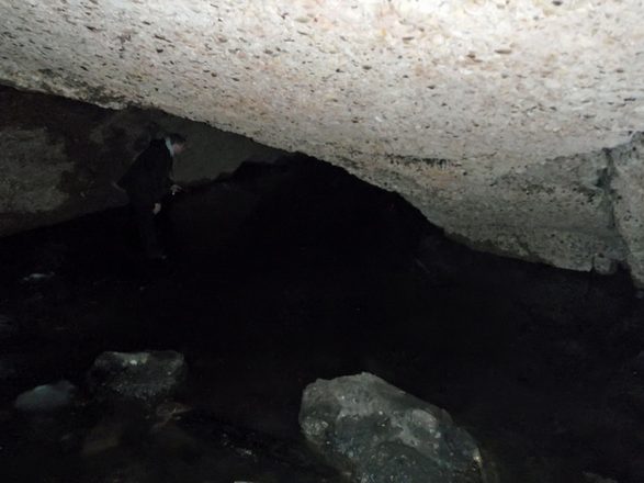 P3170119 copy.jpg