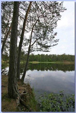 _MG_1563.JPG